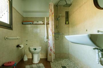Photo 44