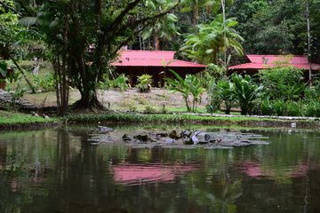 Lake