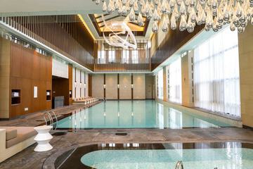 Swim-up bar