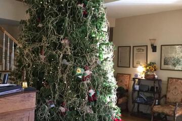 Photo 21