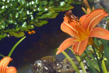 Photo 22