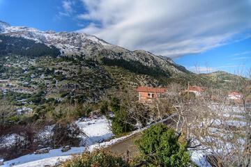 Photo 51
