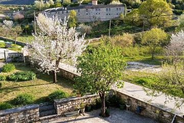 Photo 40