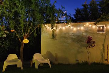 Photo 24