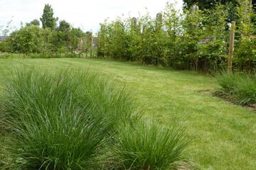 Photo 34