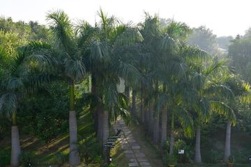 Garden view