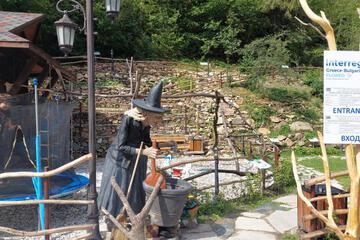 Photo 17