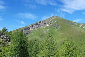 Photo 36