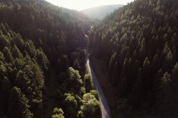 Land view from property