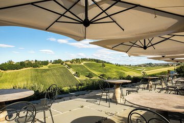 Tasting room