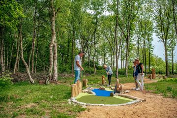 Mini-golf