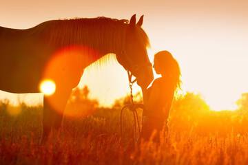 Horseback riding