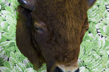 Hotel Interior 13 of 461