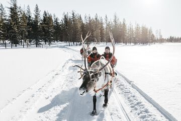 Sledding