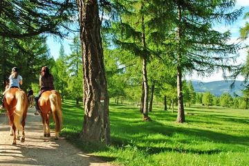 Horseback riding