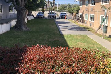 Pet-friendly amenities