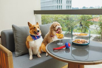 Pet-friendly amenities