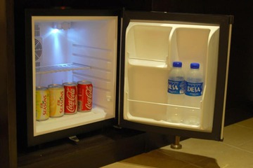Mini-refrigerator