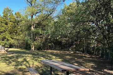 Pet-friendly amenities