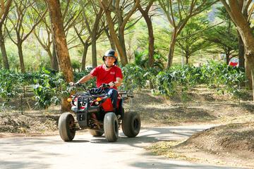Children's activities