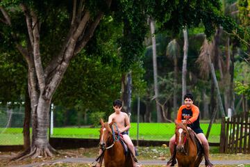 Horseback riding