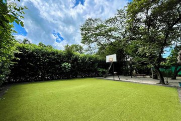 Basketball court