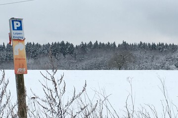 Snowshoeing