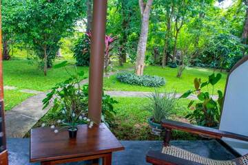 Garden view