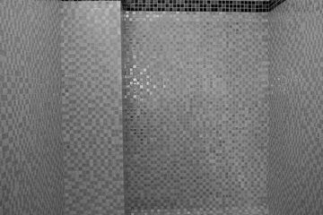 Steam room