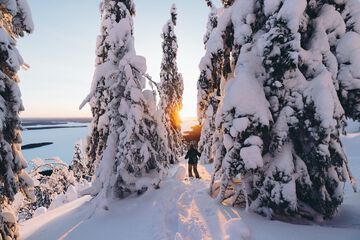 Snowshoeing