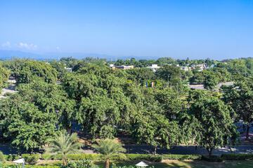 City view from property