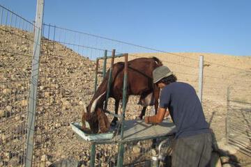 Photo 33