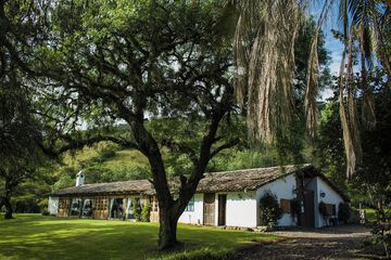 Courtyard view