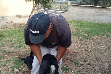 Pet-friendly