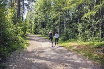 Hiking