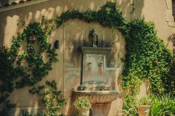 Photo 30