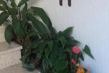 Photo 33