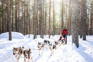 Sledding