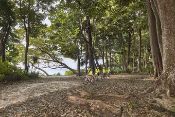 Bicycling