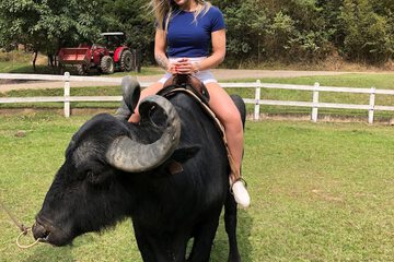 Game viewing