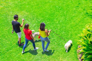 Pet-friendly