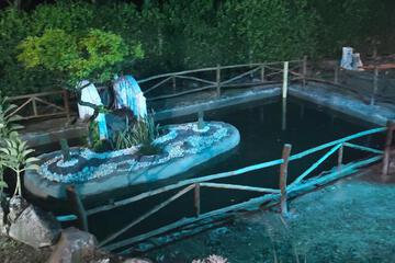 Photo 44