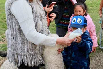 Children's activities