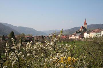Photo 48