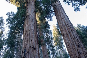 Spelunking/cave exploring