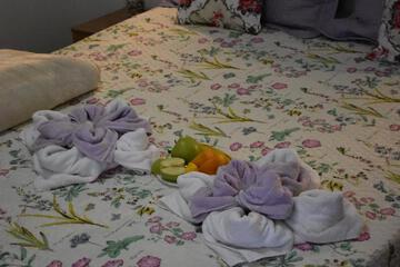Photo 62