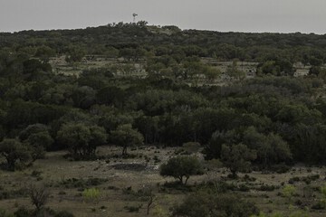 Land view from property