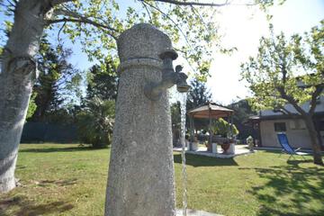 Photo 36
