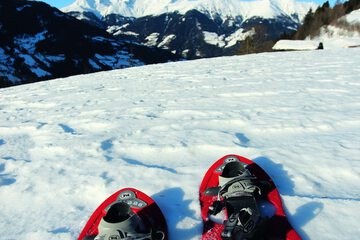 Snowshoeing