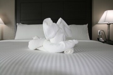 In-Room Amenity